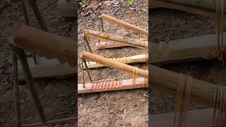 Make a squirrel traps ep131