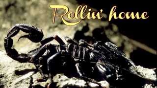 Scorpions Rollin home Lyrics