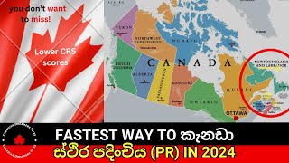 Fastest Way to කැනඩා ස්ථිර පදිංචිය (PR)සඳහා කුඩා Provinces in 2024 |Canada Sinhala Vlogs