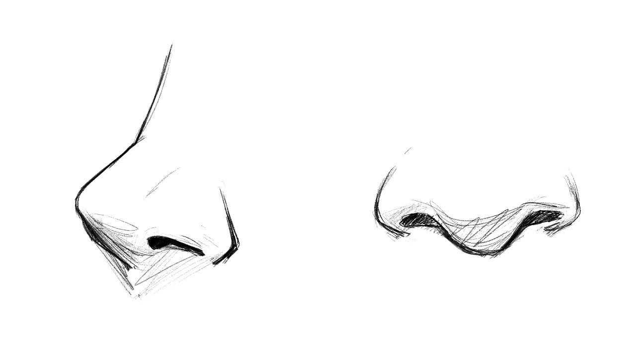 How To Draw Noses For Beginners Youtube