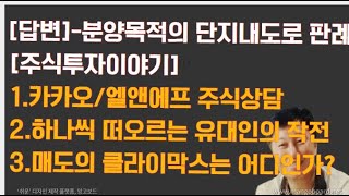 [경매사령관 364강]분양목적의 단지내도로 사용승락관련 판례/카카오/엘앤에프 소견