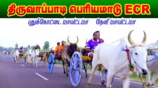 திருவப்பாடி பெரியமாடு(17-01-2021) | Thiruvappadi_Periyamadu | Reklarace