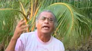 Maya Sacred Wisdom with Miguel Angel Vergara - Spiritual Intelligence of the Maya