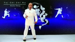 Tai Chi Chin Na - taiji chuan Lesson 2