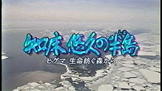 知床悠久の半島（しま）★☆ ヒグマ生命紡ぐ森から（2001年放送）