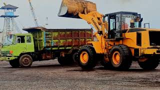 THE PROCESS OF TRANSPORTING PALM CORE BY HINO TRUCK