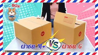 รีวิว | กล่องฝาชนขนาดกลาง เบอร์M+ ปะทะ เบอร์G ใส่ของได้จุกๆ!! | bigboxpack