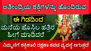 ಅತೀಂದ್ರಿಯ ಶಕ್ತಿಗಳನ್ನು ಹೊಂದಿರುವ ಈ ಗಿಡದಿಂದ ಹೊಸ್ತಿಲ ಹತ್ತಿರ ಹೀಗೆ ಮಾಡಿದರೆ ನಿಮ್ಮನೆಗೆ ಶಕ್ತಿಶಾಲಿ ರಕ್ಷಣಾ ಕವಚ