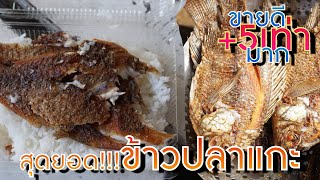 ข้าวปลาแกะ - สุดยอดเมนูธรรมดาแต่ขายดีมาก!!! ยอดขายเป็น10,000บาทต่อวัน