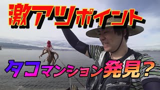 【武庫川一文字】お手軽タックルで初心者やファミリーでも簡単タコジグでタコ釣り