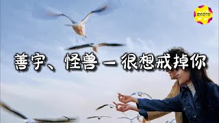 善宇、怪兽 - 很想戒掉你『我要戒你却怕戒断我那最爱的人，说过再见却怕再见也盼再见的人。』【动态歌词MV】