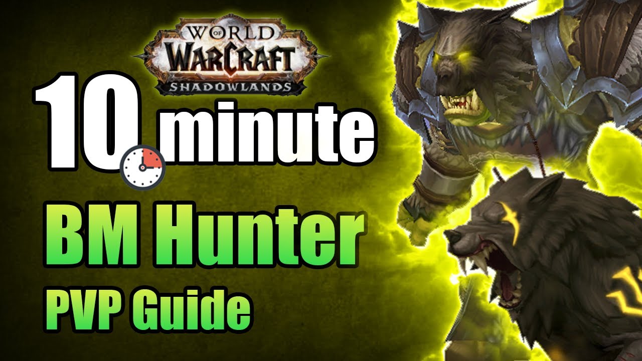 Shadowlands 9.0.2 Beast Mastery Hunter PVP Guide In Under 10 Minutes ...