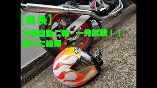 【奈良】大型バイクの免許一発試験いってみた！【ホーネット250 モトブログ】