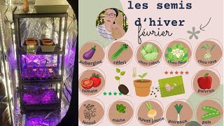 Semis en intérieur en février : Mes astuces pour un potager de folie !