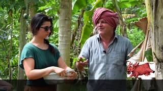 Nectar of Immortality : Food Forest Tour : Part 3 with Krishna McKenzie