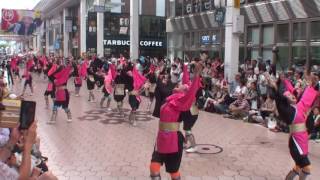 相模RANBU○　～2016高知よさこい祭り・全国大会(帯屋町筋会場)