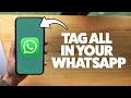 How To Mention All Members In A WhatsApp Group 2025 (iPhone & Android)