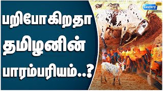 பாதுகாக்கப்படுமா நாட்டு மாடுகள்? - ஆபத்தில் தேனி மலைமாடுகள்| Theni Malaimadu | SAVE NATIVE COW BREAD