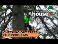 General Tree Service