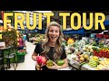 FRUIT TOUR -Trying Some of the Most Exotic Fruit at Bogotá's Paloquemao Market!