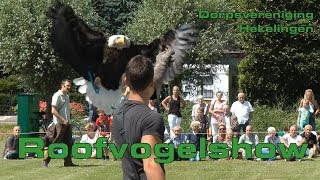 Roofvogelshow  in Hekelingen