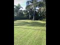 No edits🎯backflip off 🌴 tree