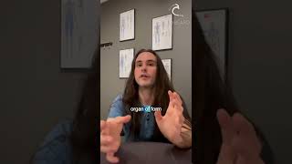 Chiropractic vs Structural Integration