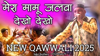 मेरे मामू का जलवा देखो देखो - Mamu Peer Latest Qawwali - Mamu Peer Ki New Qawwali 2025