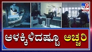 ದುಬೈನಲ್ಲಿದೆ ಜೀವ ಝಲ್ ಎನಿಸೋ ಡೈವಿಂಗ್ ಪೂಲ್|World Biggest pool open in Dubai|Tv9kannada