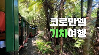 [추억 #13] 뉴질랜드_코로만델의 숨겨진 이야기