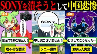 SONYを潰しにかかった中国の悲惨な末路【ずんだもん＆ゆっくり解説】