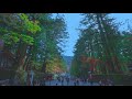 4k hdr 60fps sony a7s iii 日光東照宮 nikko toshogu natural sound beautyfull nature nikko japan