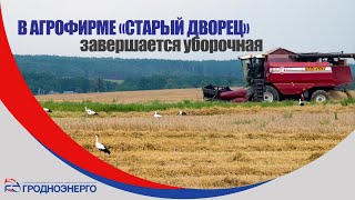 Завершается уборочная кампания в агрофирме \