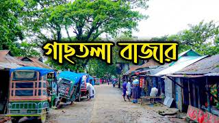 গাছতলা বাজার, ধর্মপাশা, সুনামগঞ্জ।