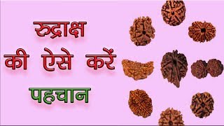 असली रुद्राक्ष की पहचान क्या है  - Asli rudraksh ki pehchan kaise kare