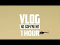 1 hour livermat way to long vlog no copyright music