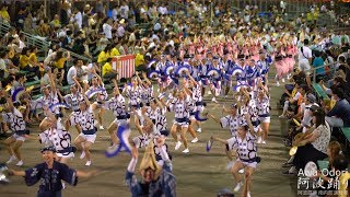 阿波扇 阿波踊り2018南内町桟敷席 4K Awa Odori