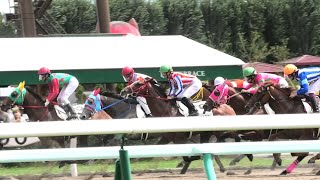 札幌競馬場 4R 3歳未勝利　藤田菜七子騎手　2019/8/25