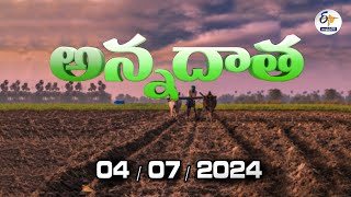 అన్నదాత | 4th July 2024 | Annadata | Full Bulletin | ETV Andhra Pradesh