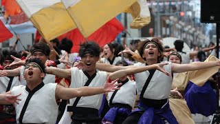 【にっぽんど真ん中祭り】 福井大学よっしゃこい　2024年度演舞『紲和』 2024/8/25　名古屋駅西銀座パレード会場 3回目