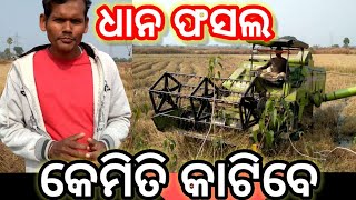 ଧାନ କେମିତି କାଟିବେ/ଫସଲ କେମିତି କାଟିବେ/How to harvest rice/harvester ରେ ଧାନ କଟା/Gaonlia farming odisha/