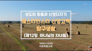 [기독교][웨스트민스터신앙고백][교리] 성도의 믿음과 신앙다지기 - 웨스트민스터신앙고백 탐구생활(하나님의 자녀됨)