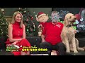 santa s helpers telethon on chco tv