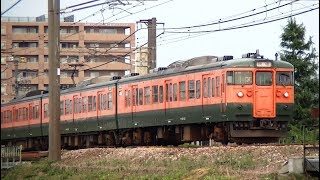 115系N40新ﾆｲ湘南色編成　信越本線上り快速3372M　新潟→新井