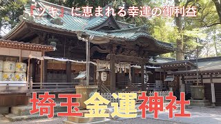 埼玉金運神社　金運パワースポット　さいたま市浦和区「調神社」『ツキ』に恵まれる幸運の御利益　【Gold luck shrine / Saitama Tsuki Jinja Shrine 】