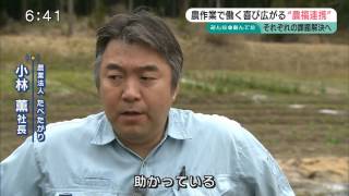 農作業で働く喜び広がる 農福連携 （新潟県）