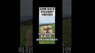 순환매 뜻 주의사항은 ?#shotrs