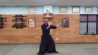 Seigan No Kamae - Ninpo Taijutsu