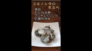 【野草料理】ユキノシタの天ぷら