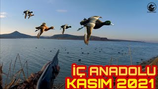 ÖRDEK AVI (Yeşilbaş ,Boz , Elmabaş,Tepeli patka,) Duck Hunting-охота на уток - chasse au canard 2021